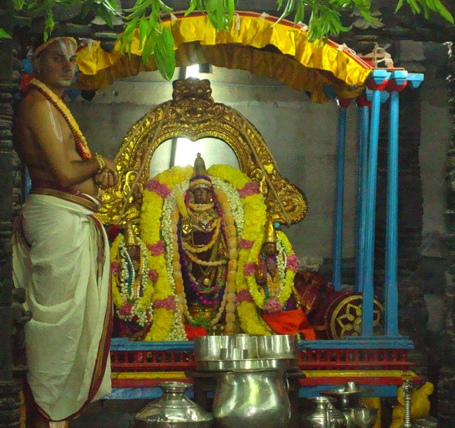 Kanchipuram Sri Varadaraja Perumal Temple Pavithrotsavam day 1 2014--13