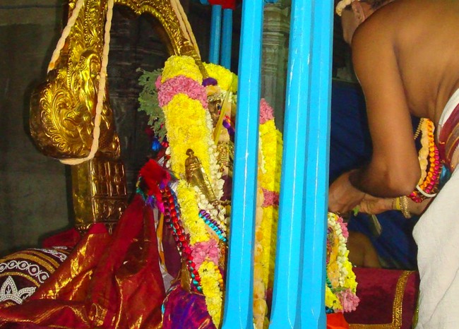Kanchipuram Sri Varadaraja Perumal Temple Pavithrotsavam day 1 2014--15