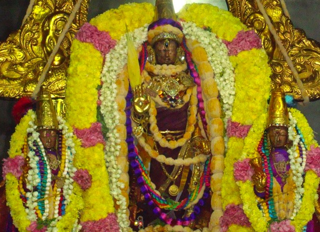Kanchipuram Sri Varadaraja Perumal Temple Pavithrotsavam day 1 2014--19