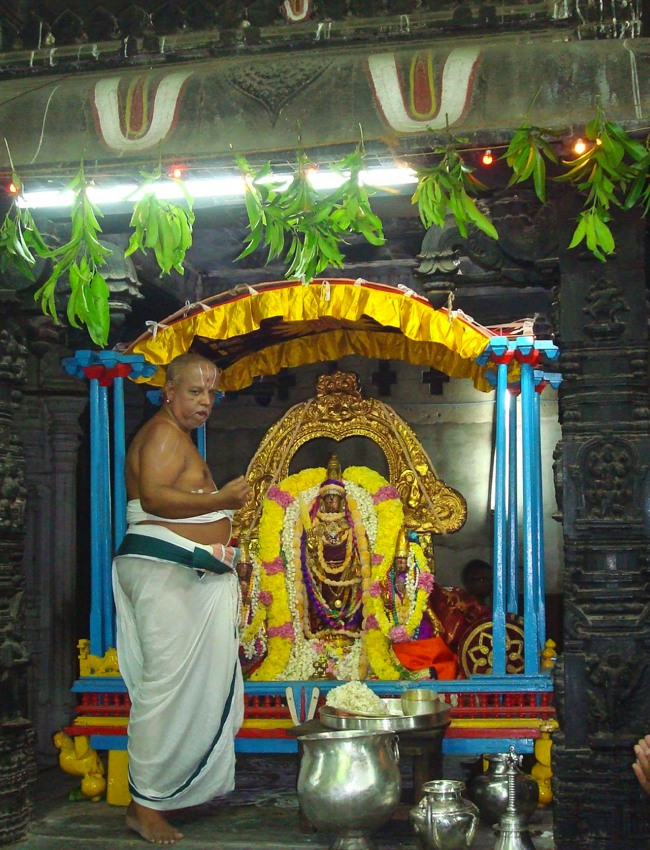 Kanchipuram Sri Varadaraja Perumal Temple Pavithrotsavam day 1 2014--20