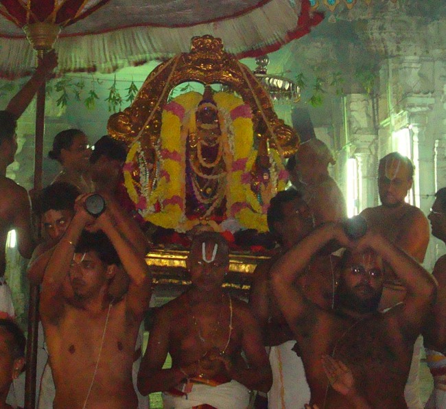 Kanchipuram Sri Varadaraja Perumal Temple Pavithrotsavam day 1 2014--22
