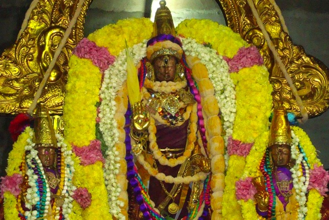 Kanchipuram Sri Varadaraja Perumal Temple Pavithrotsavam day 1 2014--23