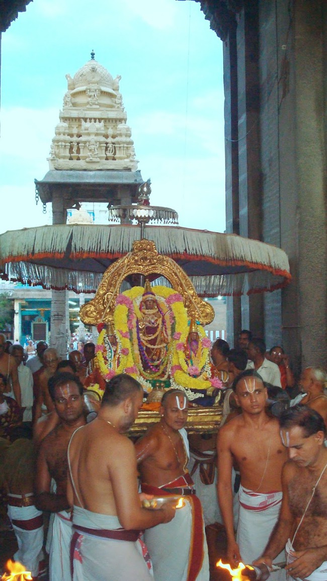 Kanchipuram Sri Varadaraja Perumal Temple Pavithrotsavam day 1 2014--38