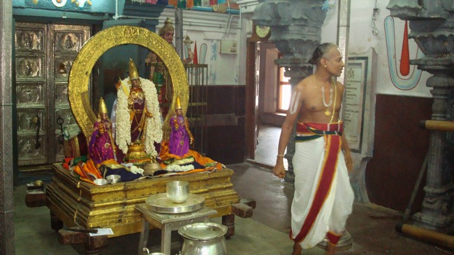 Kanchipuram Sri Varadaraja Perumal Temple Pavithrotsavam day 1 2014--46