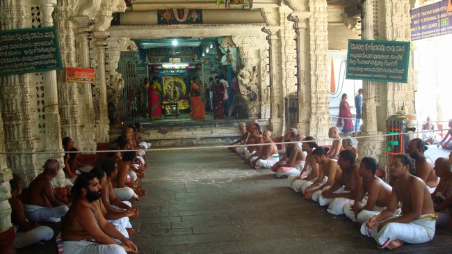 Kanchipuram Sri Varadaraja Perumal Temple Pavithrotsavam day 1 2014--47
