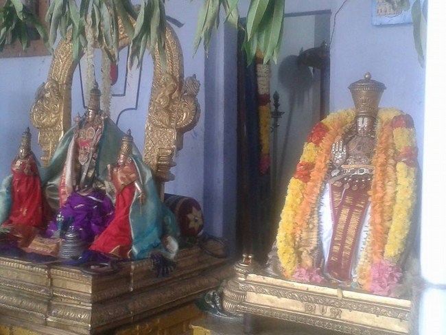 Kooram Adhikesava Perumal Temple ThiruPavithrotsavam Commences10