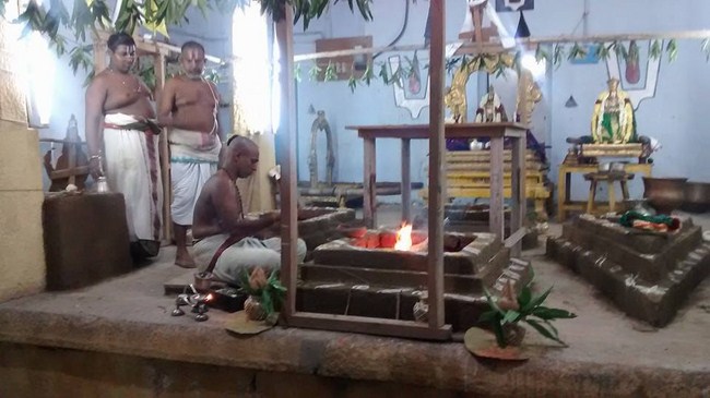 Kooram Adhikesava Perumal Temple ThiruPavithrotsavam Commences3