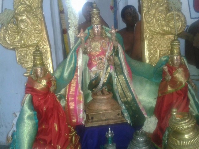 Kooram Adhikesava Perumal Temple ThiruPavithrotsavam Commences31