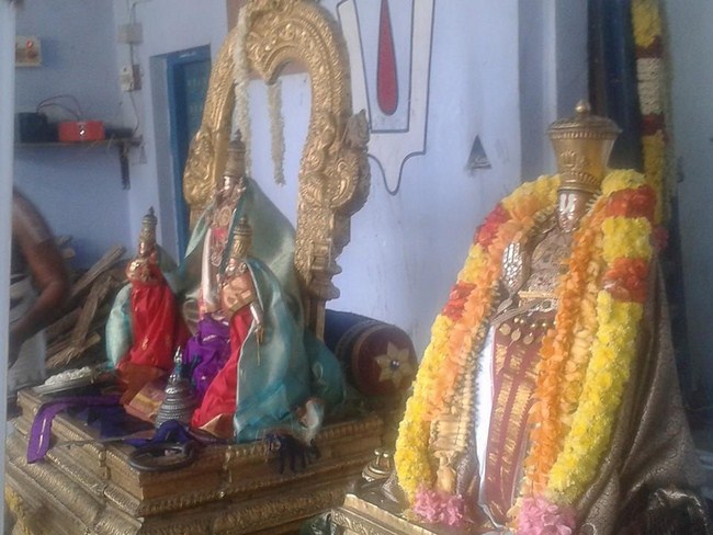Kooram Adhikesava Perumal Temple ThiruPavithrotsavam Commences35