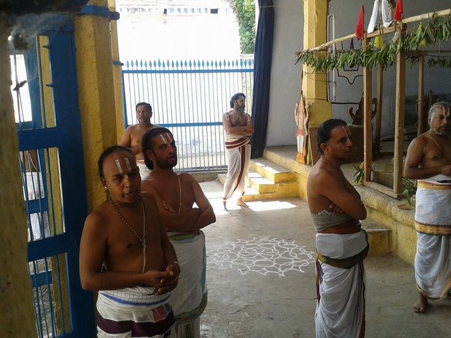 Kooram Adhikesava Perumal Temple ThiruPavithrotsavam Commences6