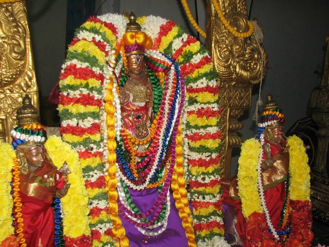 Kooram Adhikesava Perumal Temple ThiruPavithrotsavam Concludes1