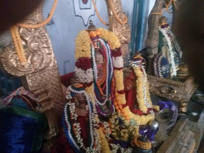 Kooram Adhikesava Perumal Temple ThiruPavithrotsavam Concludes30