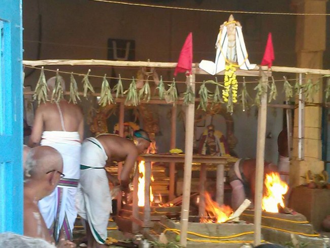 Kooram Adhikesava Perumal Temple ThiruPavithrotsavam Concludes33