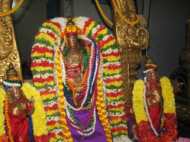 Kooram Adhikesava Perumal Temple ThiruPavithrotsavam Concludes7