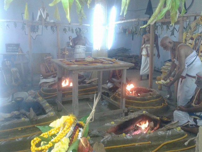 Kooram Adhikesava Perumal Temple ThiruPavithrotsavam10