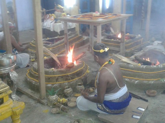 Kooram Adhikesava Perumal Temple ThiruPavithrotsavam6