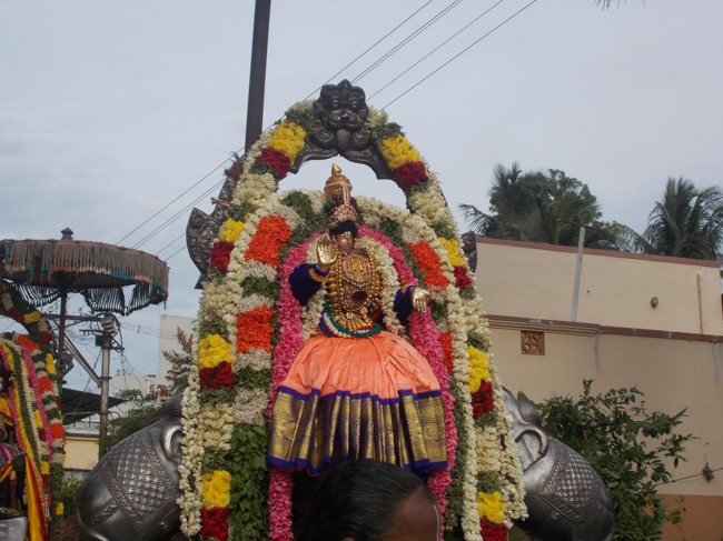 Kumbakonam Oppiliappan Kovil Pavithrotsava Garuda Sevai  2014--12