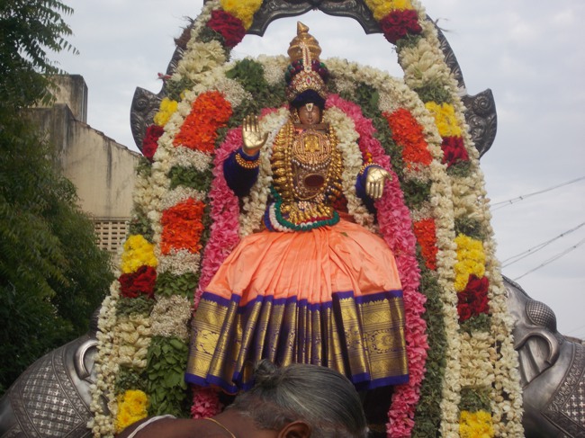 Kumbakonam Oppiliappan Kovil Pavithrotsava Garuda Sevai  2014--22