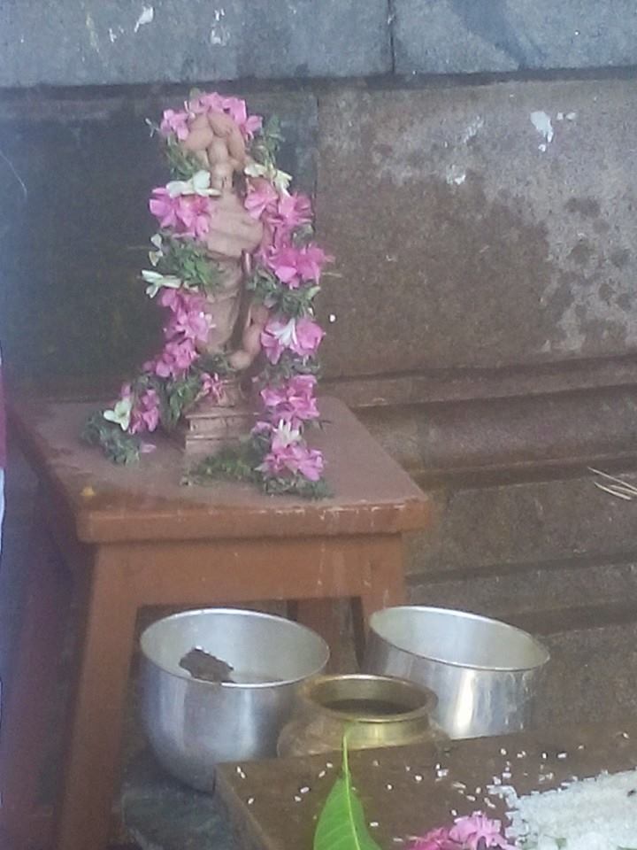 Kumbakonam Sri Adhivaraha Perumal Temple Pavithrotsava Poornahuthi and Theerthavari  2014 21