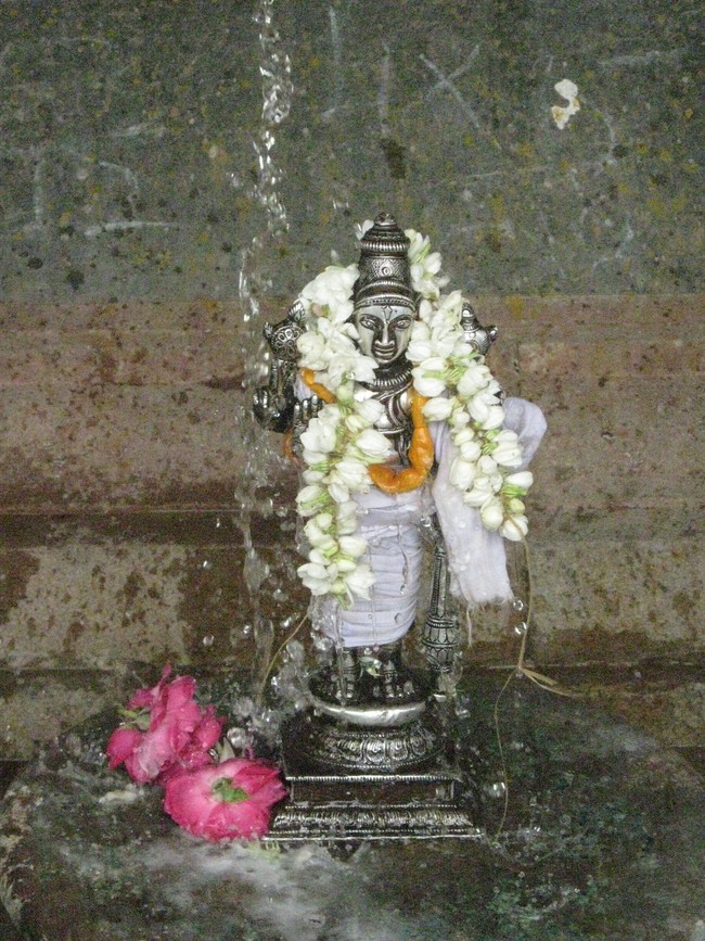Kumbakonam Sri Ramaswami Temple Pavithrotsava Theerthavari 2014  13