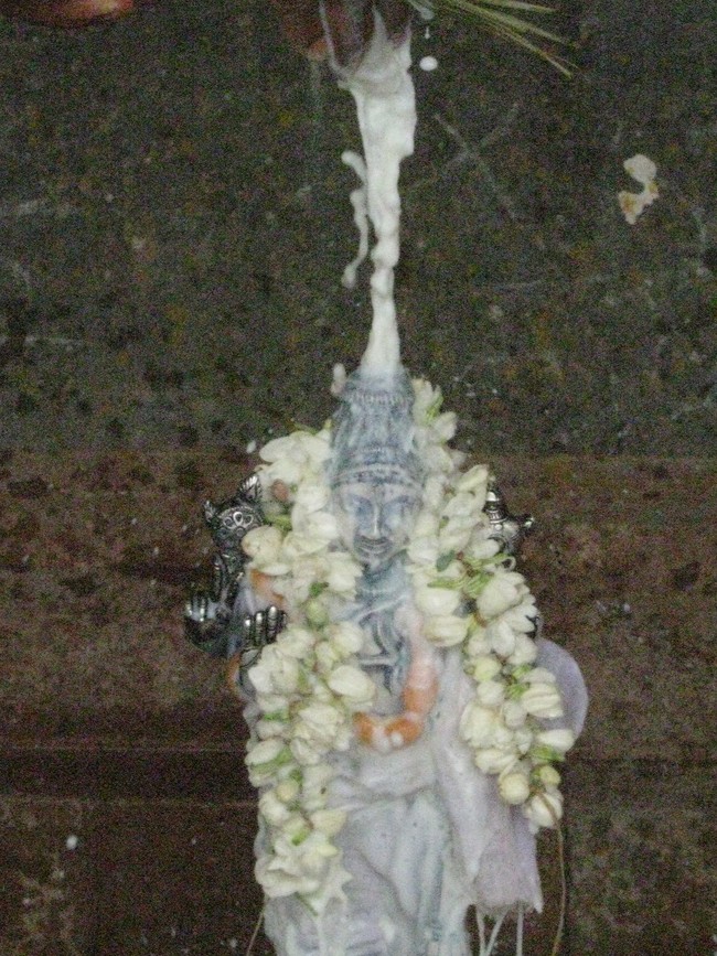 Kumbakonam Sri Ramaswami Temple Pavithrotsava Theerthavari 2014  14