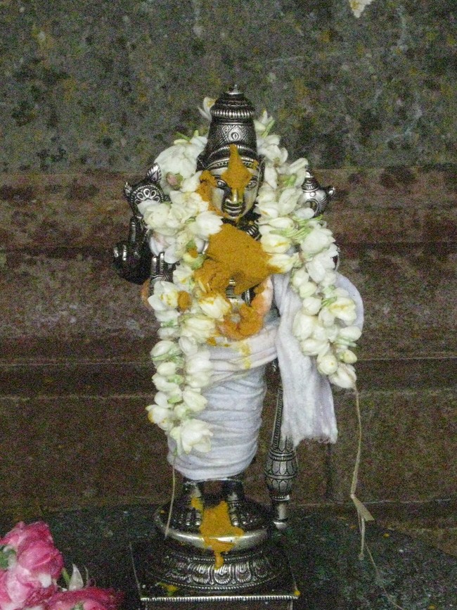 Kumbakonam Sri Ramaswami Temple Pavithrotsava Theerthavari 2014  16