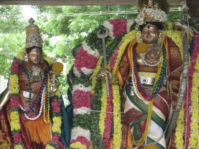 Kumbakonam Sri Ramaswami Temple Pavithrotsava Theerthavari 2014  19