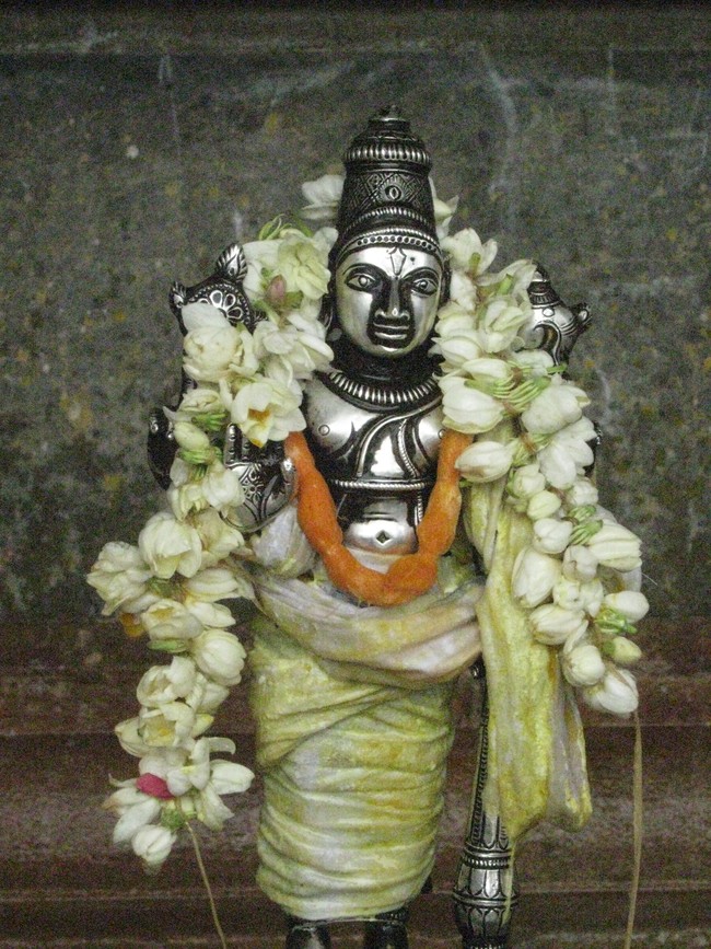 Kumbakonam Sri Ramaswami Temple Pavithrotsava Theerthavari 2014  22