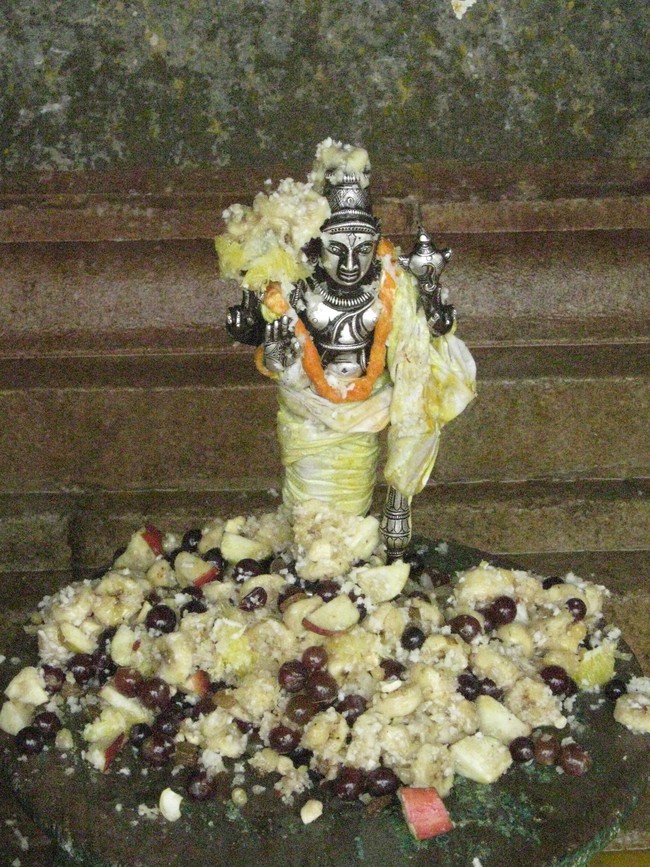Kumbakonam Sri Ramaswami Temple Pavithrotsava Theerthavari 2014  23