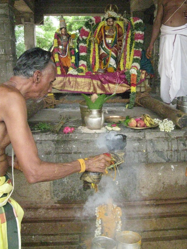 Kumbakonam Sri Ramaswami Temple Pavithrotsava Theerthavari 2014  28