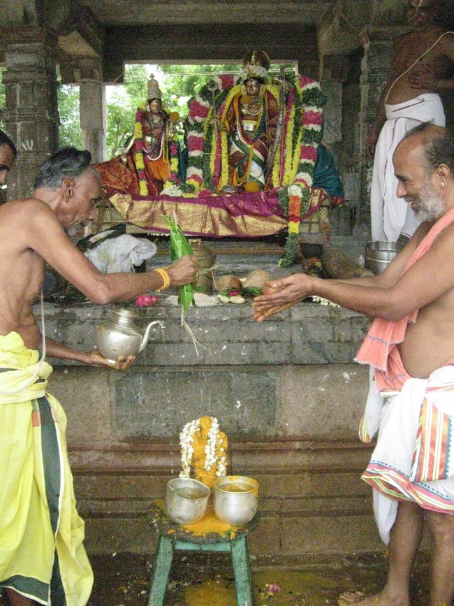 Kumbakonam Sri Ramaswami Temple Pavithrotsava Theerthavari 2014  29