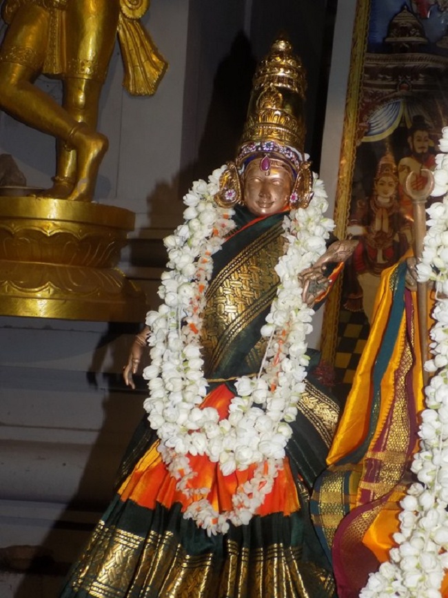 Madipakkam Sri Oppilliappan Pattabhisheka Ramar Temple Purattasi Masa Punarvasu Purappadu15