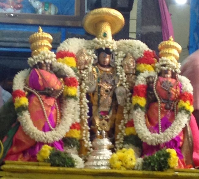 Muthaiyalupet Sri Venugopala Krishnaswami Temple Mahasamprokshanam  2014 04