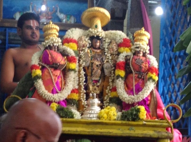 Muthaiyalupet Sri Venugopala Krishnaswami Temple Mahasamprokshanam  2014 19