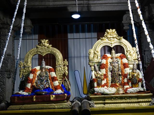 Mylapore SVDD Sri Srinivasa Perumal Temple Navarathri Uthsavam Day 1  25-09-2014  06