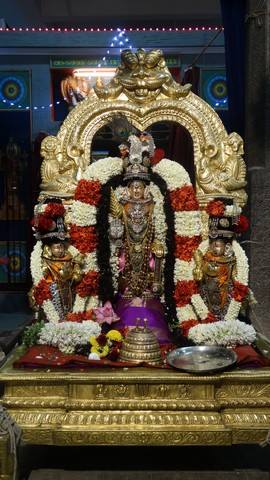 Mylapore SVDD Sri Srinivasa Perumal Temple Navarathri Uthsavam Day 3  27-09-2014  19