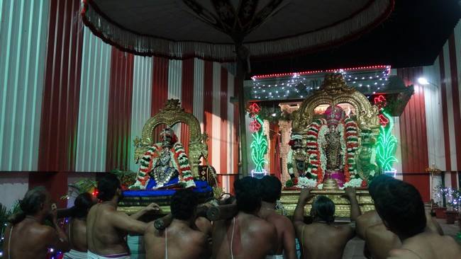 Mylapore SVDD Sri Srinivasa Perumal Temple Navarathri Uthsavam Day 5  29-09-2014  01
