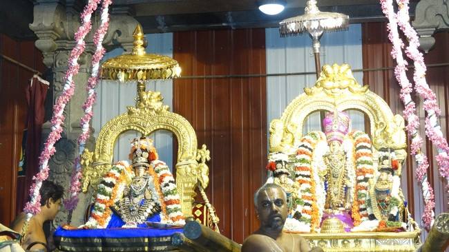 Mylapore SVDD Sri Srinivasa Perumal Temple Navarathri Uthsavam Day 5  29-09-2014  19