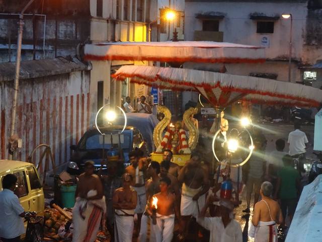 Mylapore SVDD Sri Srinivasa Perumal Temple Sravanam Desikan Purapadu 07-09-2014  10