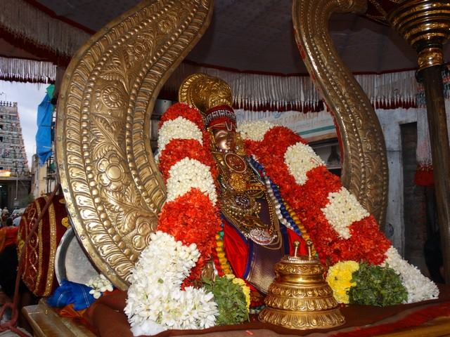 Mylapore SVDD Sri Srinivasa Perumal Temple Sravanam Desikan Purapadu 07-09-2014  12