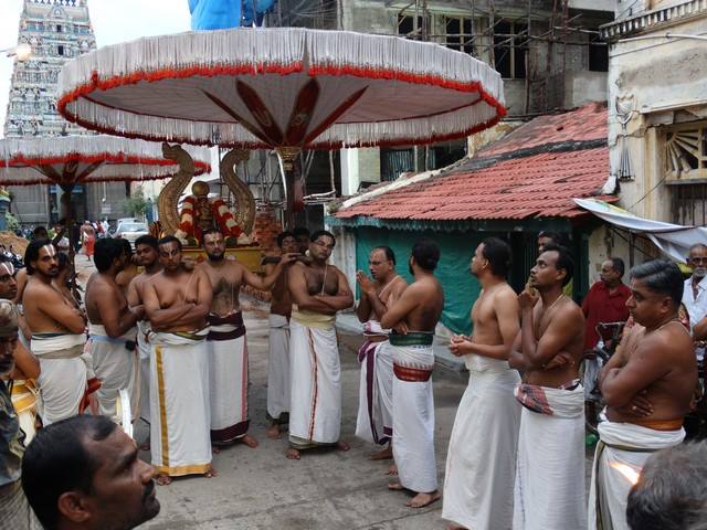 Mylapore SVDD Sri Srinivasa Perumal Temple Sravanam Desikan Purapadu 07-09-2014  21
