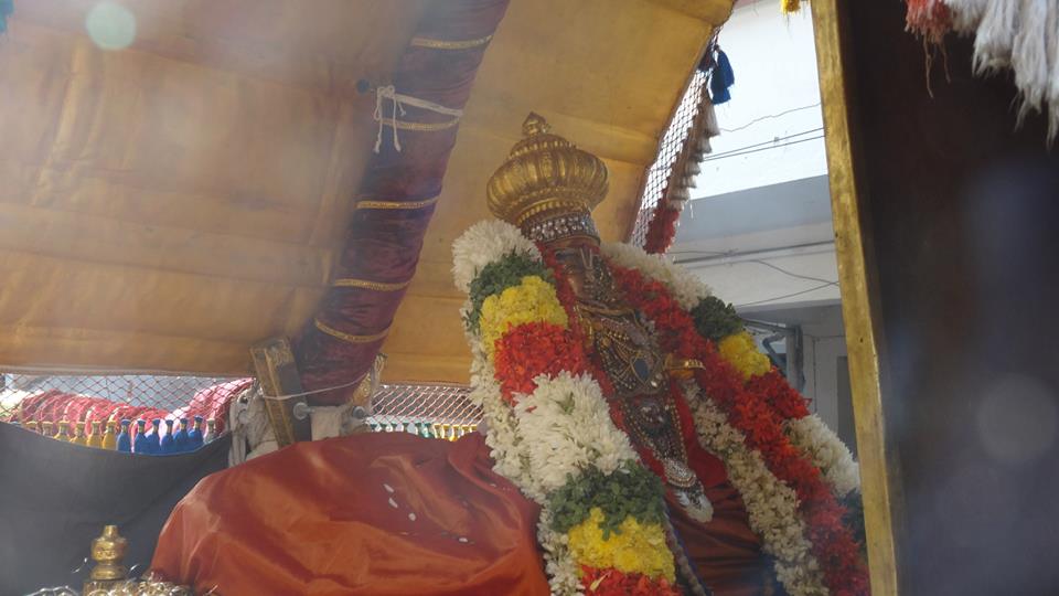 Mylapore SVDD Sri Srinivasa Perumal Temple Swami Desikan Uthsavam Day 2  Morning  26-09-2014  05