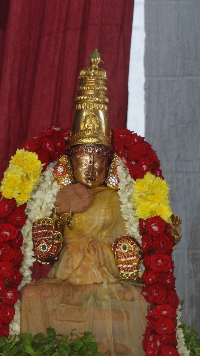 Mylapore SVDD Sri Srinivasa Perumal Temple Swami  Desikan Uthsavam Day 3 Morning 27-09-2014  29