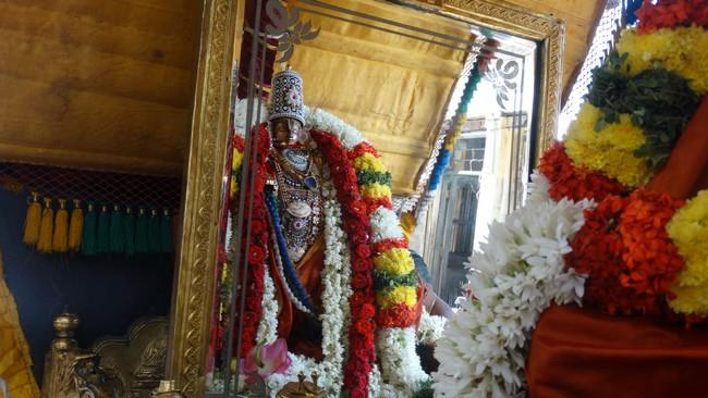 Mylapore SVDD Sri Srinivasa Perumal Temple Swami Desikan Uthsavam Day 4 Morning 28-09-2014  06