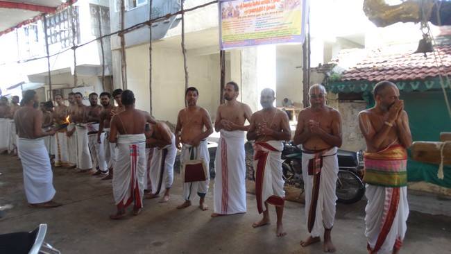 Mylapore SVDD Sri Srinivasa Perumal Temple Swami Desikan Uthsavam Day 4 Morning 28-09-2014  12
