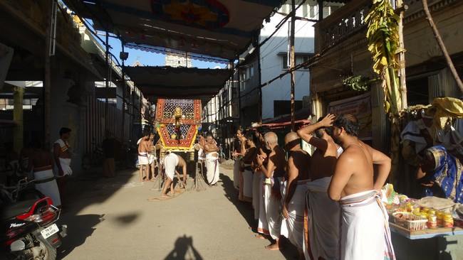 Mylapore SVDD Sri Srinivasa Perumal Temple Swami Desikan Uthsavam Day 5 Morning 29-09-2014  04