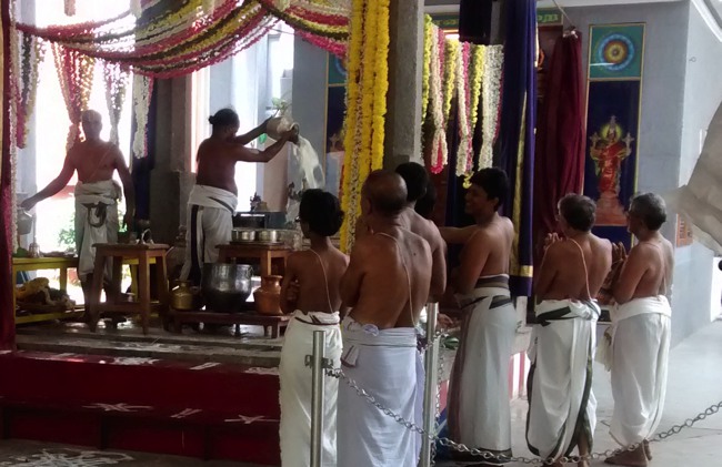 Mylapore SVDD Srinivasa perumal temple Hayagreeva jayanthi 2014--00