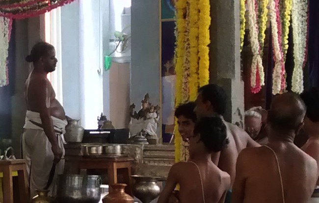 Mylapore SVDD Srinivasa perumal temple Hayagreeva jayanthi 2014--01