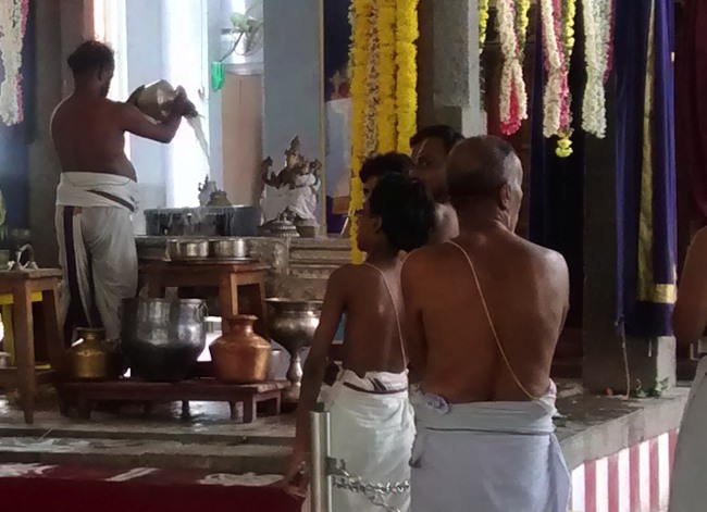 Mylapore SVDD Srinivasa perumal temple Hayagreeva jayanthi 2014--02
