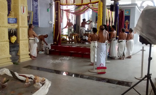 Mylapore SVDD Srinivasa perumal temple Hayagreeva jayanthi 2014--04